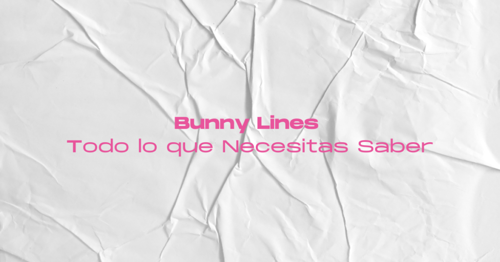 Bunny Lines: Todo lo que Necesitas Saber
